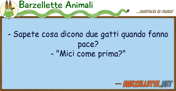 Barzellette Animali - sapete cosa dicono due gatti quando fa