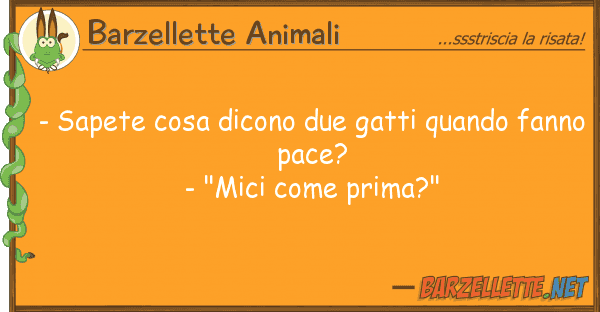 Barzellette Animali - sapete cosa dicono due gatti quando fa