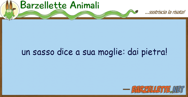 Barzellette Animali sasso dice moglie: pietra!