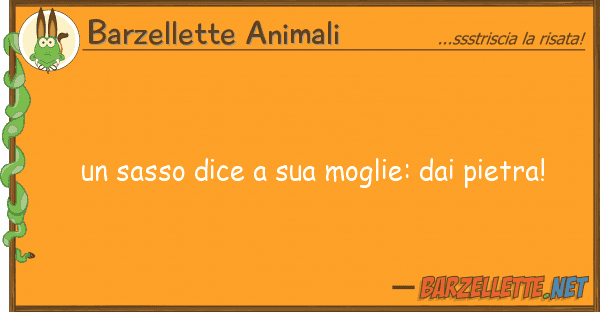Barzellette Animali sasso dice moglie: pietra!
