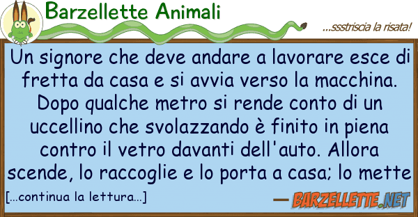 Barzellette Animali signore deve andare lavorare es