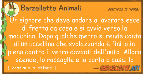 Barzellette Animali signore deve andare lavorare es