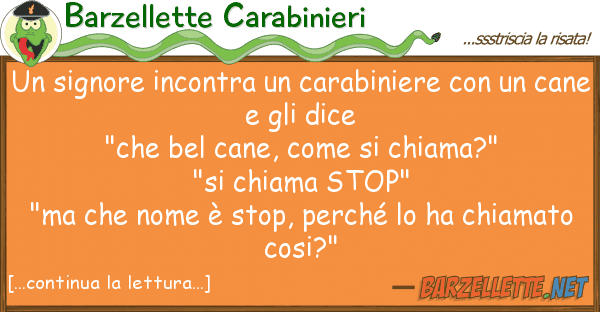 Barzellette Carabinieri signore incontra carabiniere u