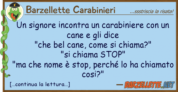 Barzellette Carabinieri signore incontra carabiniere u