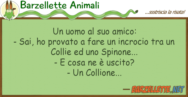 Barzellette Animali uomo amico: - sai, ho provato