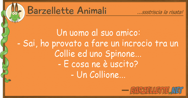 Barzellette Animali uomo amico: - sai, ho provato