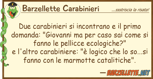 Barzellette Carabinieri due carabinieri incontrano primo