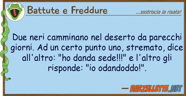 Battute e Freddure due neri camminano deserto parecc