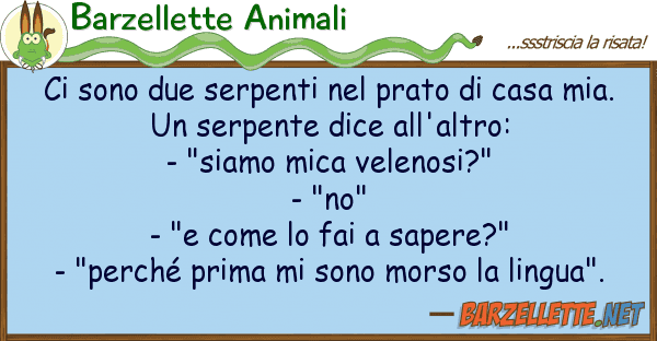 Barzellette Animali sono due serpenti prato casa m