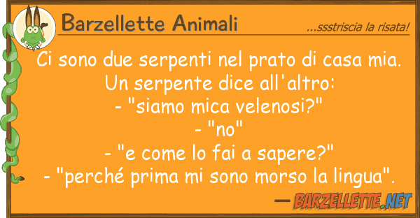 Barzellette Animali sono due serpenti prato casa m