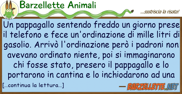 Barzellette Animali pappagallo sentendo freddo giorno