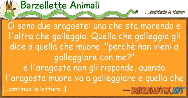 Barzellette Animali sono due aragoste: sta morend