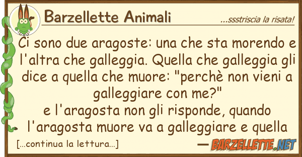 Barzellette Animali sono due aragoste: sta morend