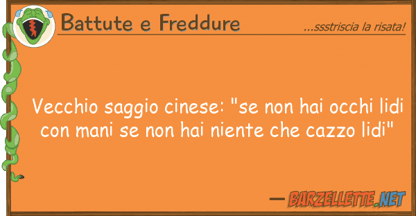Battute e Freddure vecchio saggio cinese: "se hai occhi