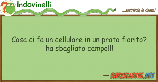 Indovinelli cosa fa cellulare prato fior