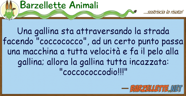Barzellette Animali gallina sta attraversando strada