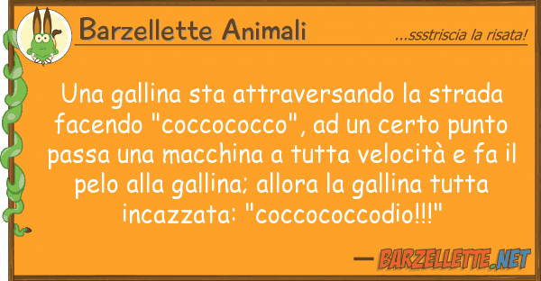 Barzellette Animali gallina sta attraversando strada