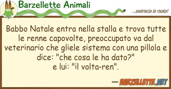Barzellette Animali babbo natale entra stalla trova