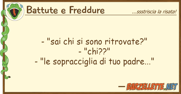 Battute e Freddure - "sai sono ritrovate?" - "chi??