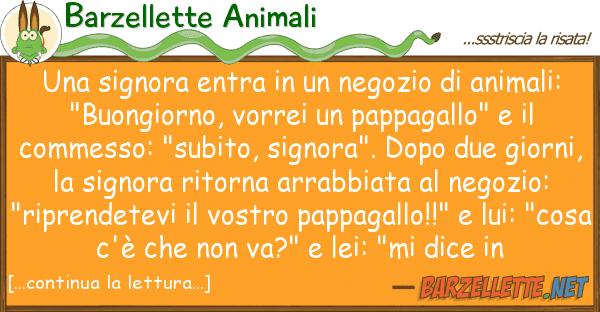 Barzellette Animali signora entra negozio anima