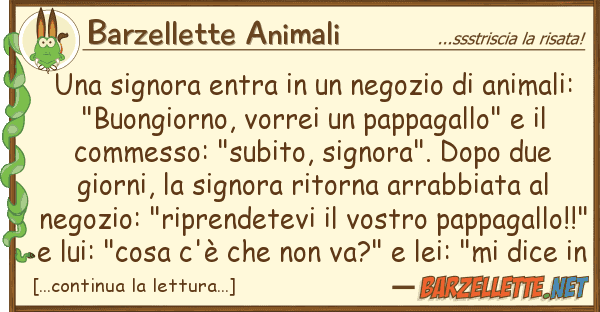 Barzellette Animali signora entra negozio anima