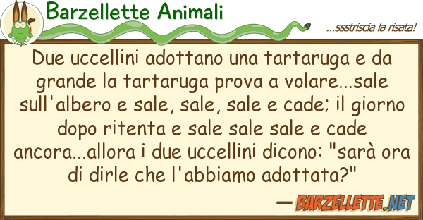 Barzellette Animali due uccellini adottano tartaruga d
