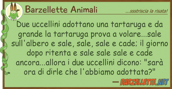Barzellette Animali due uccellini adottano tartaruga d