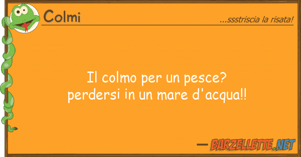 Colmi colmo pesce? perdersi