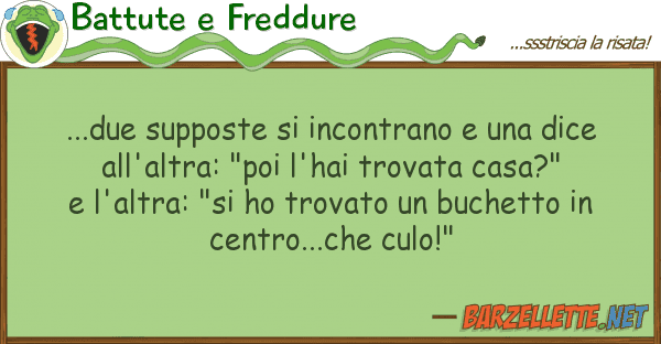 Battute e Freddure ...due supposte incontrano dice