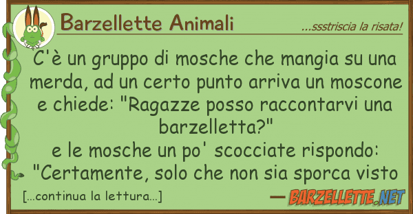 Barzellette Animali c'è gruppo mosche mangia u