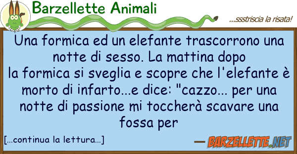 Barzellette Animali formica elefante trascorrono u
