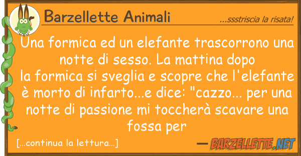 Barzellette Animali formica elefante trascorrono u