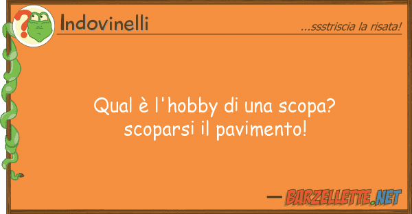 Indovinelli qual è l'hobby scopa? scoparsi