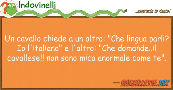 Indovinelli cavallo chiede altro: "che lingu