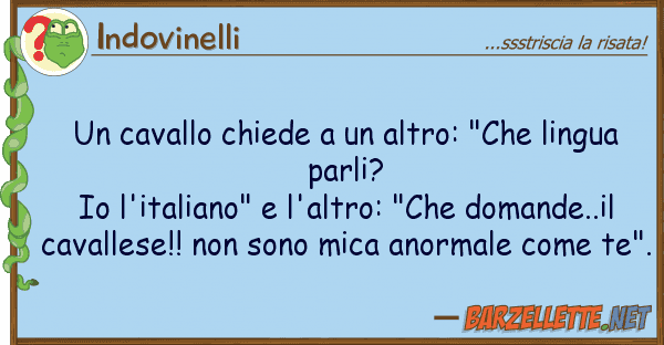 Indovinelli cavallo chiede altro: "che lingu