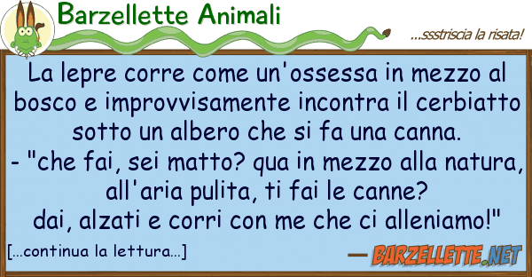 Barzellette Animali lepre corre un'ossessa mezzo