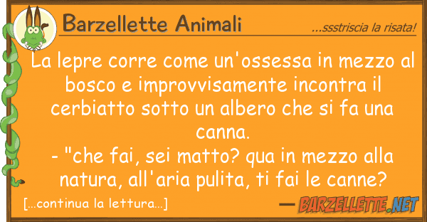 Barzellette Animali lepre corre un'ossessa mezzo
