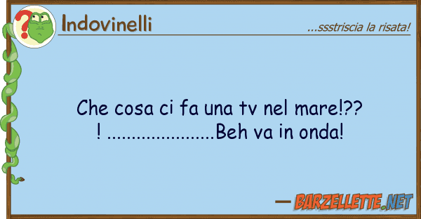 Indovinelli cosa fa tv mare!??! .....