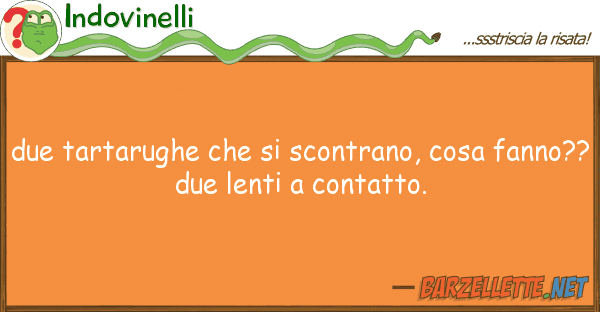 Indovinelli due tartarughe scontrano, cosa fa