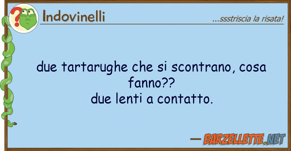 Indovinelli due tartarughe scontrano, cosa fa