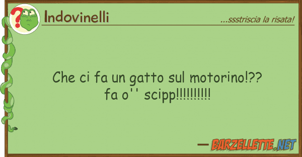 Indovinelli fa gatto motorino!?? fa