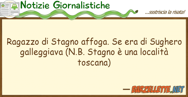 Notizie Giornalistiche ragazzo stagno affoga. era sugh