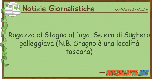 Notizie Giornalistiche ragazzo stagno affoga. era sugh