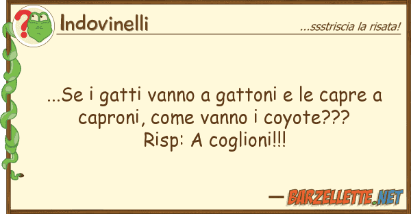 Indovinelli ...se gatti vanno gattoni capre