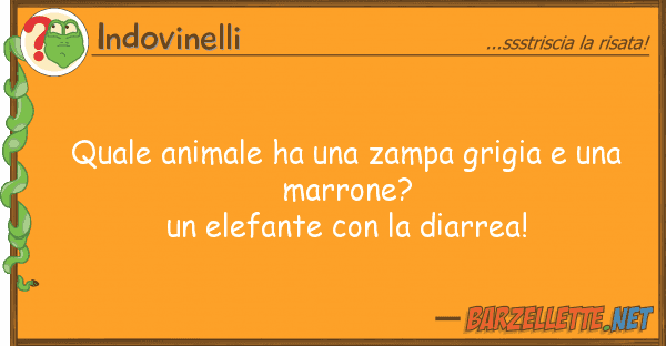 Indovinelli animale ha zampa grigia