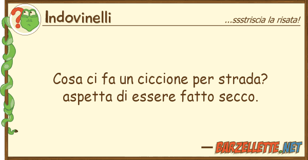 Indovinelli cosa fa ciccione strada? aspet