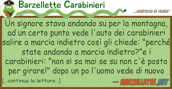 Barzellette Carabinieri signore stava andando monta