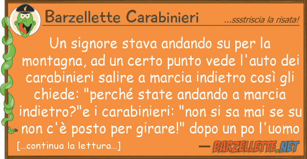 Barzellette Carabinieri signore stava andando monta