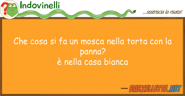 Indovinelli cosa fa mosca torta