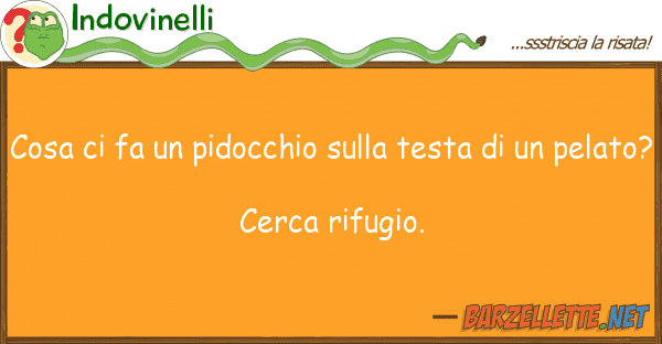 Indovinelli cosa fa pidocchio testa u